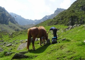 Lac d'Arou (34) 